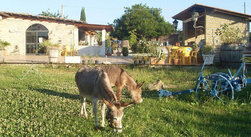 agriturismo Il Cavallino Rosso