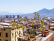 L'Agrumeto Rooms