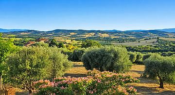 albergo i butteri