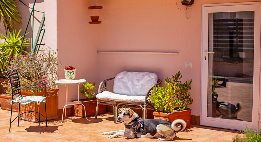 L'Agrumeto Rooms