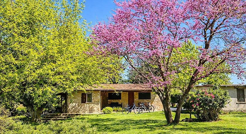 Agriturismo podere bello