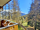 Residence Stelvio