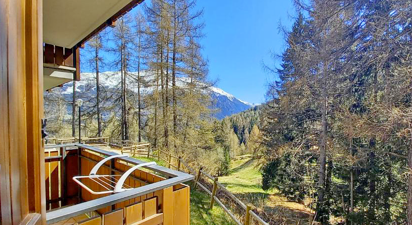 Residence Stelvio