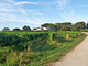 Agriturismo Tesorino