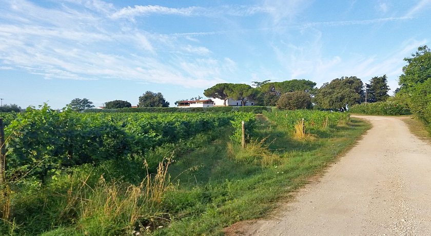 Agriturismo Tesorino