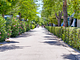 Villaggio Turistico Camping Verde Mare