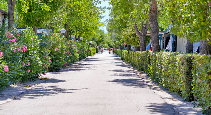 Villaggio Turistico Camping Verde Mare