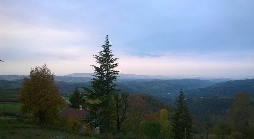 Il Sottobosco 