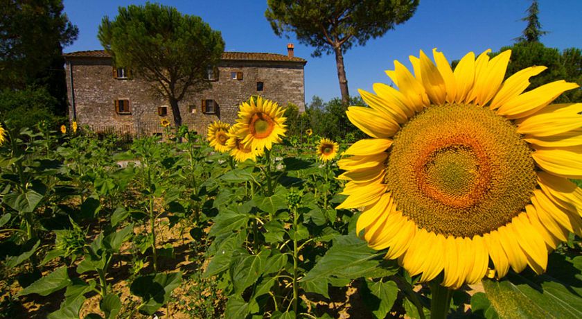 Agriturismo il Molinello