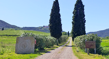 FATTORIA POGGIALBERI