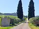 FATTORIA POGGIALBERI