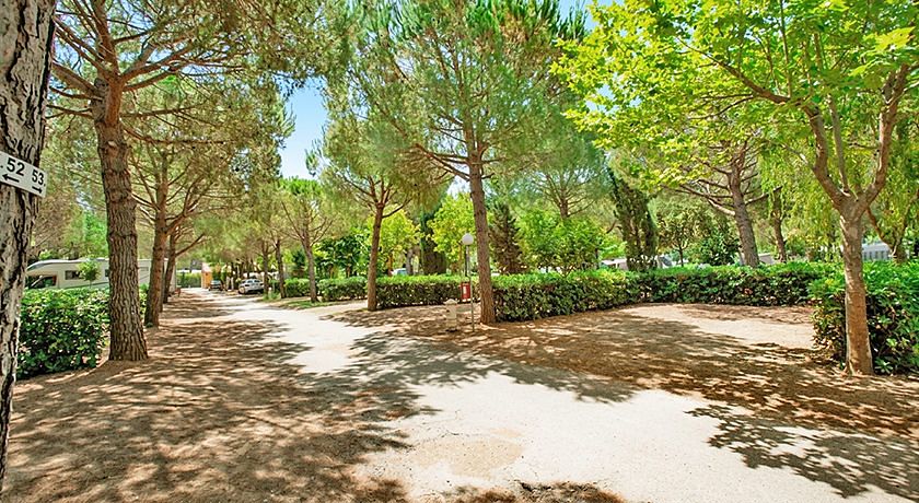 Le Gorette Easy Camping Village