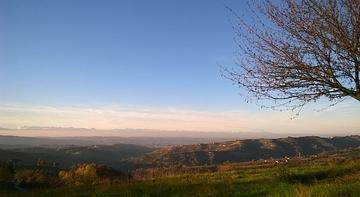 Il Sottobosco 