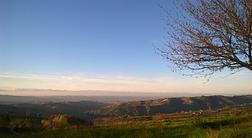 Il Sottobosco 