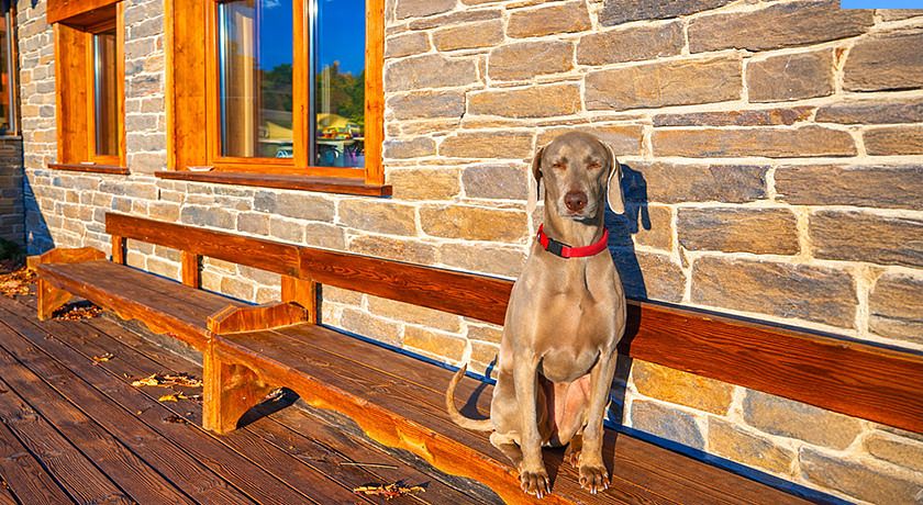 Artemisia Eco-Pet friendly B&B