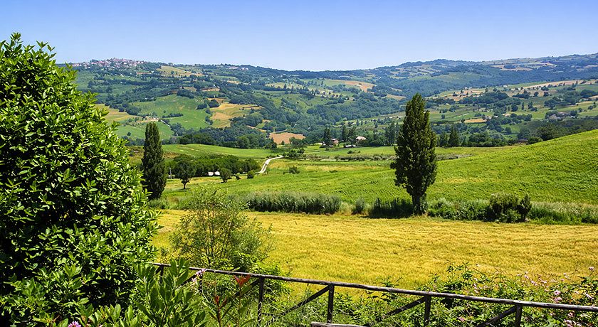 Fattoria Fontegeloni - Agriturismo e Az. Agr. Biologica 