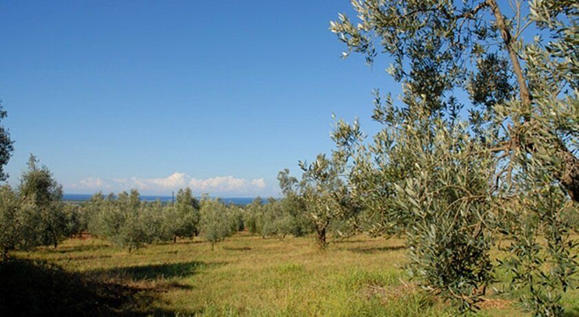 Agriturismo Podere Campalto