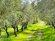 campeggio L Prè