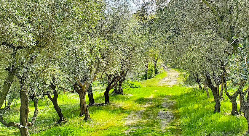 campeggio L Prè