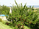 La Casina di Parrana