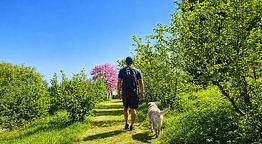  L’Uliveto Magico Agriboutique 