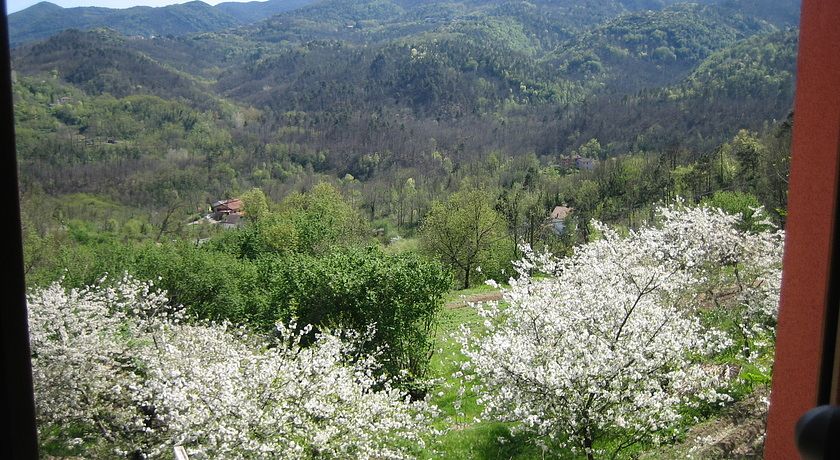 AGRITURISMO CASALINO 