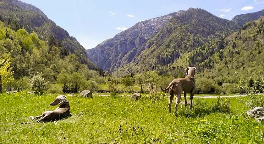 Eco-Baita Natura Spensierata