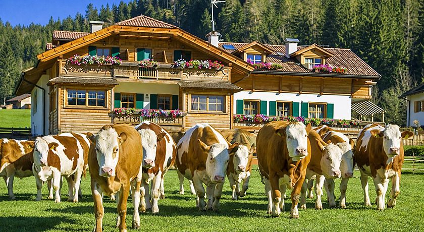Agritur Mas dei Zalune (ex Col Verde)