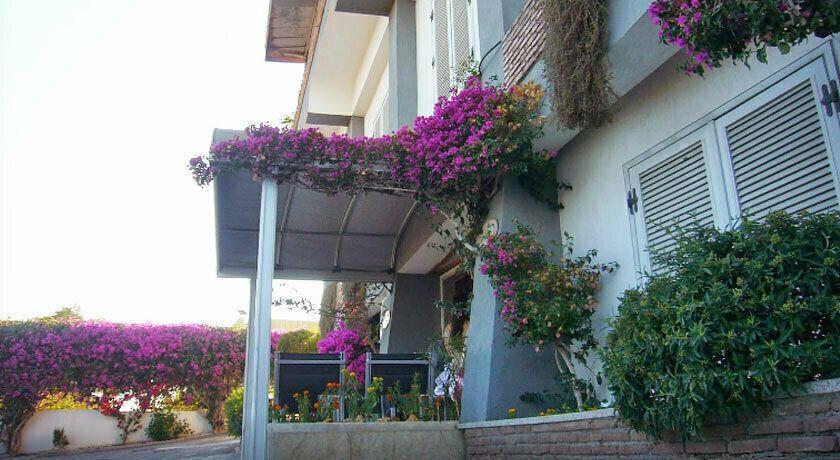 La TRIPERGOLA