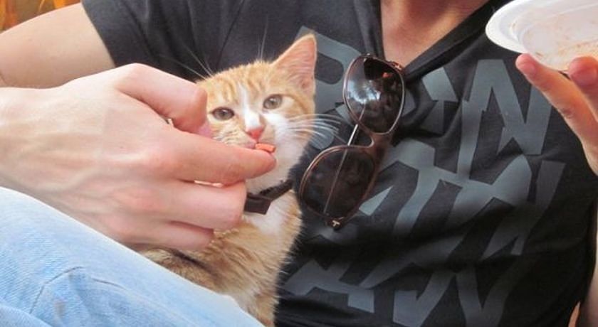 Bed and Breakfast Libano