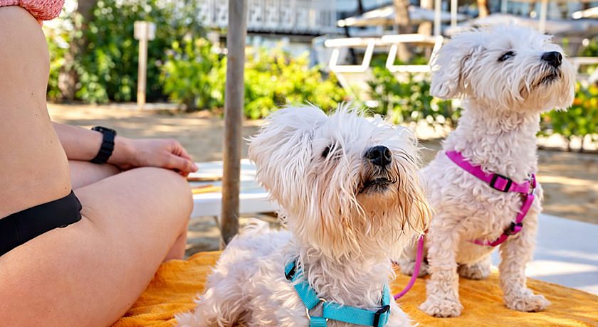 Fantinello Hotel Caorle