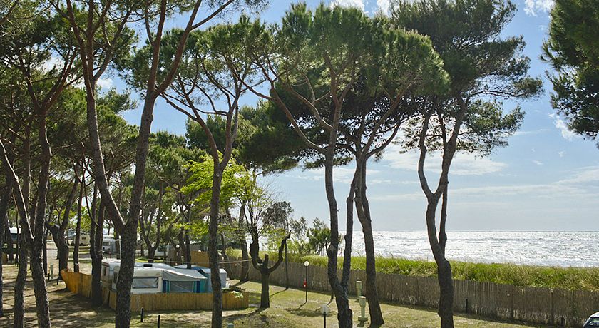 Camping Village Bocche D'Albegna