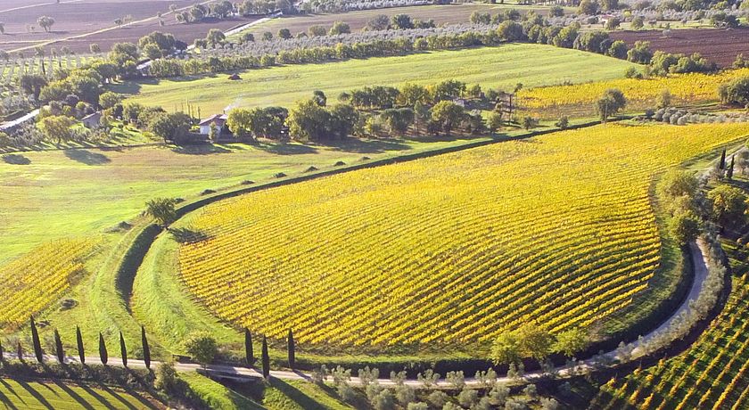 FATTORIA POGGIALBERI