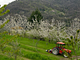 Agriturismo Luce