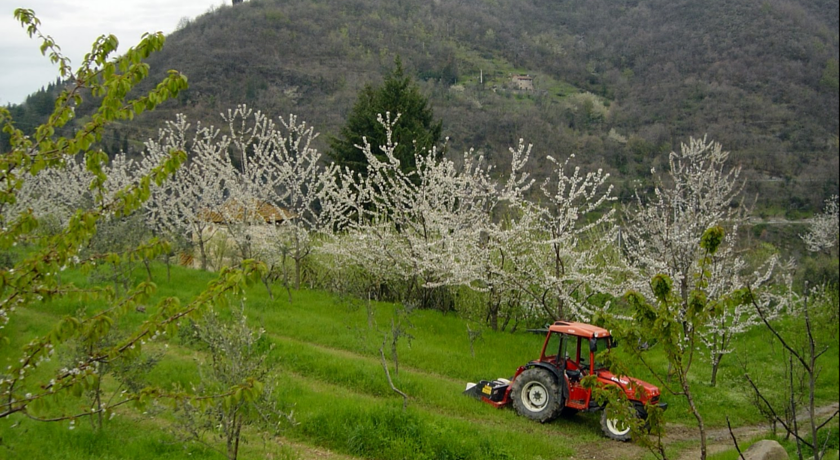 Agriturismo Luce