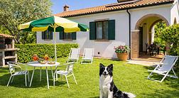 Casa Vacanze Bicchi 