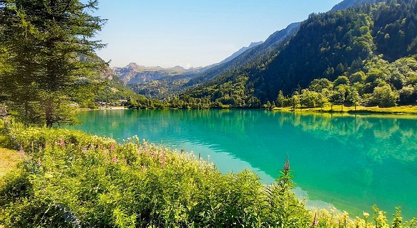 360° Viewpoint Alpine Apartments "Mont Rose"