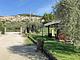 Agriturismo Giardino degli Olivi di Elisei Claudio