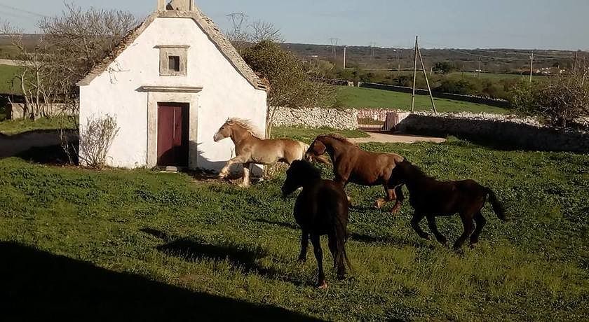 Masseria Murgia Albanese