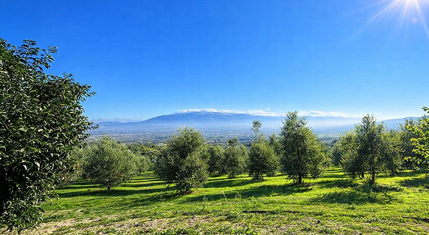  L’Uliveto Magico Agriboutique 