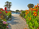 Horse Country Resort Congress & Spa