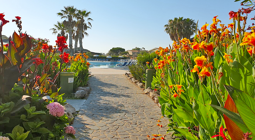 Horse Country Resort Congress & Spa
