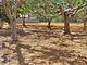 La Chicca di Milu' for Pet Lovers