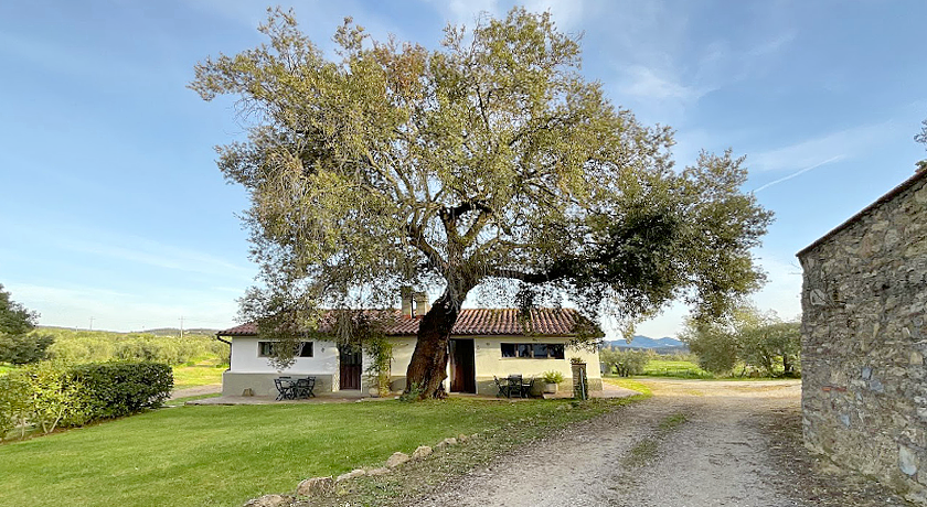 Agriturismo Tesorino