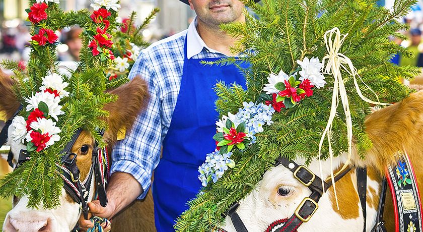 Agritur Mas dei Zalune (ex Col Verde)