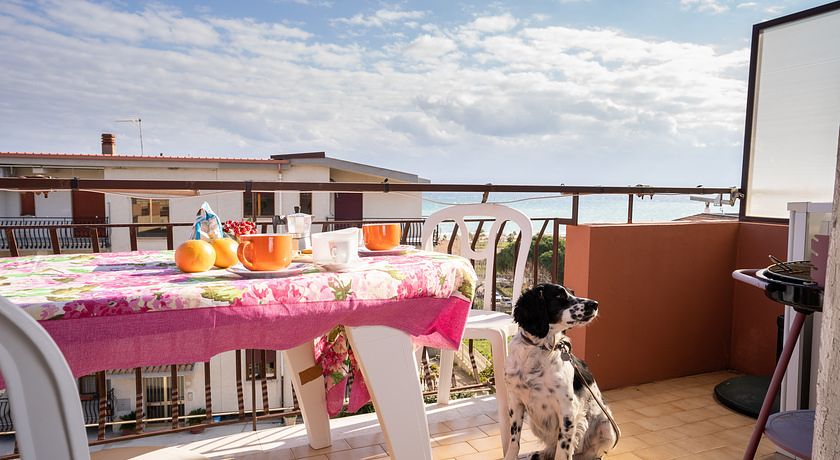 Astonishing Calabria pet friendly apts