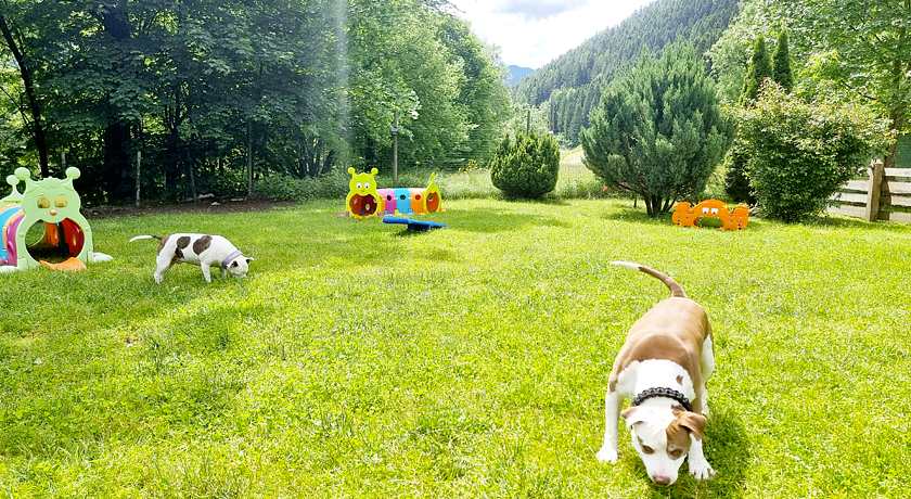 Camping Parco Adamello