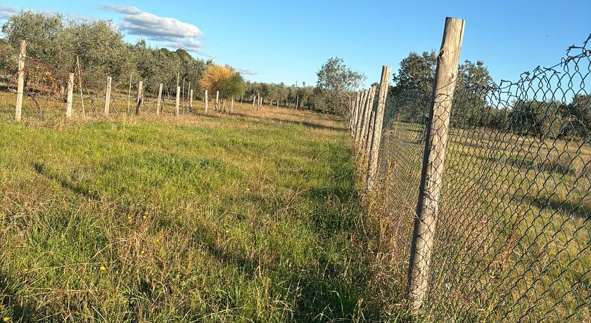 Cottage immerso nella campagna toscana