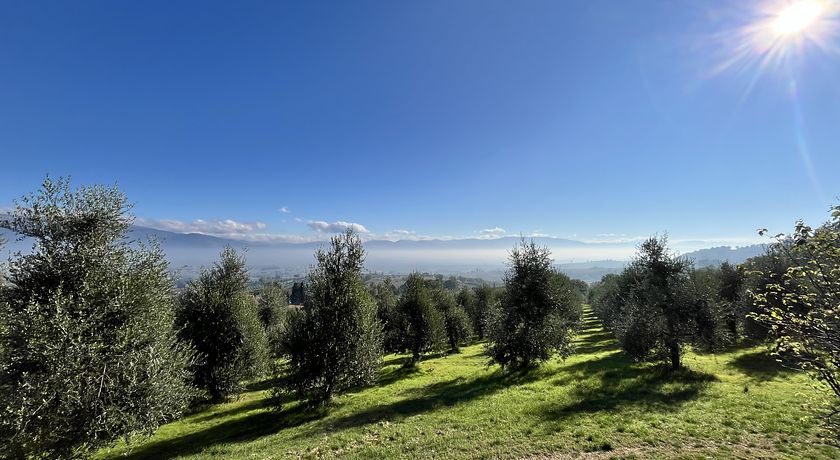  L’Uliveto Magico Agriboutique 