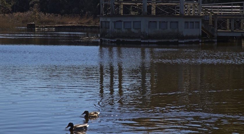 Bed and Breakfast Libano